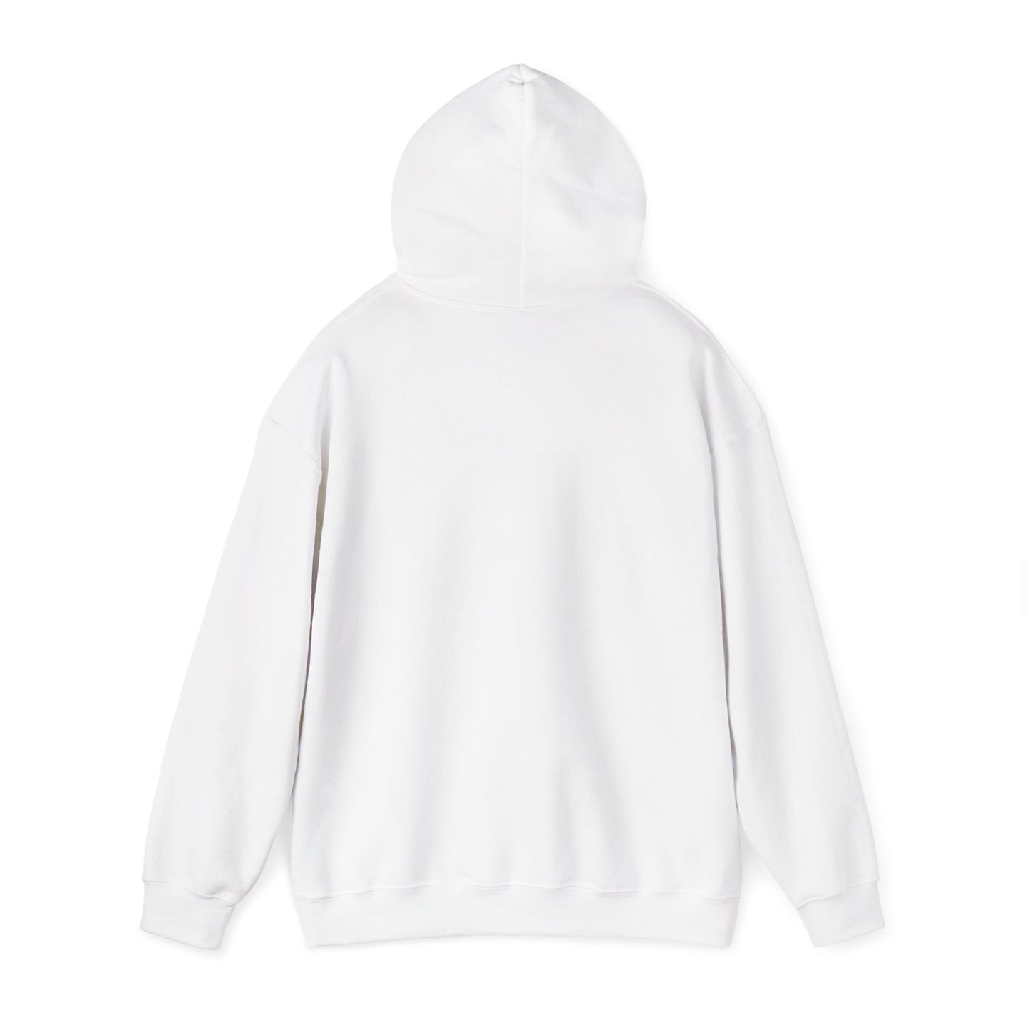 Winter Sucks Hoodie