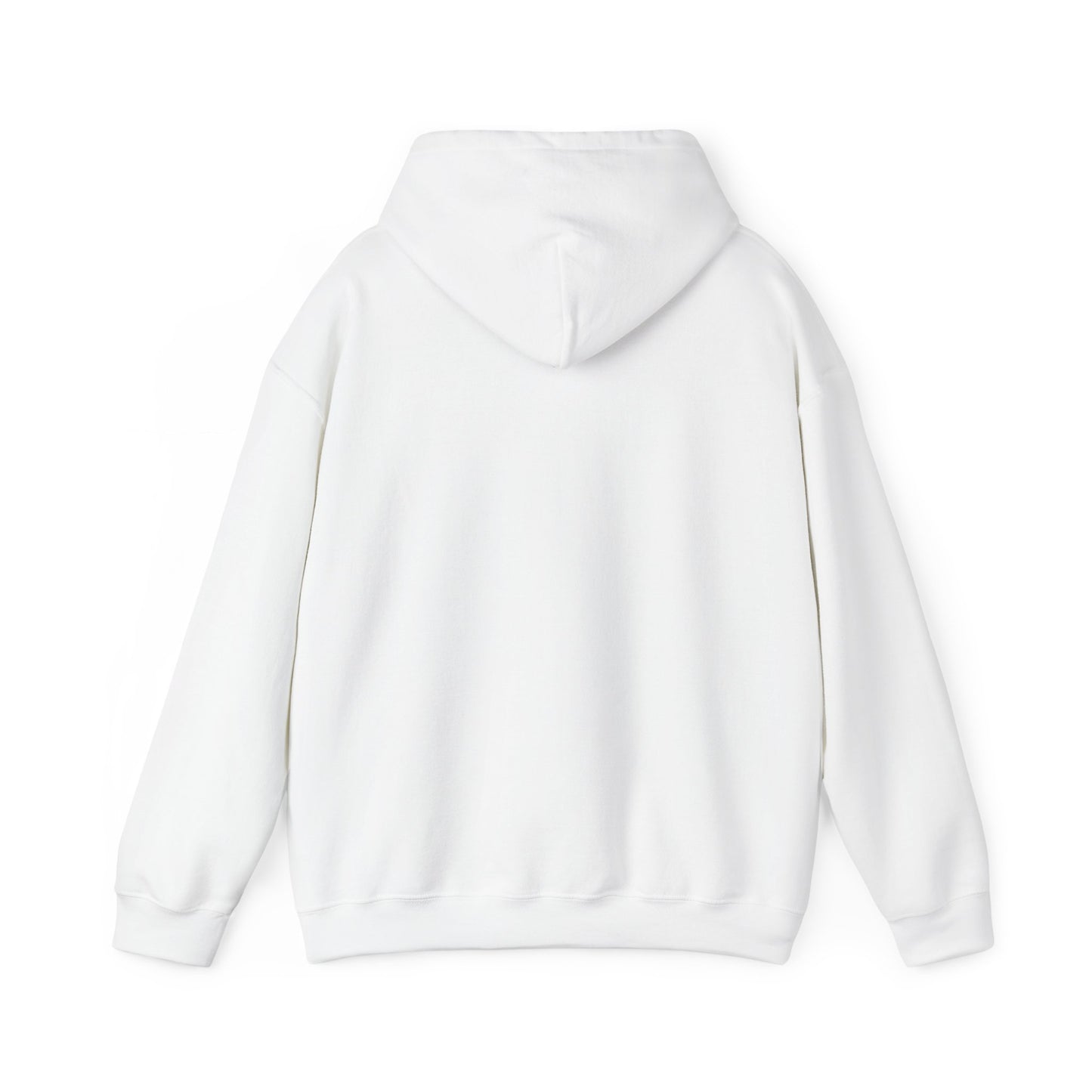 Winter Sucks Hoodie