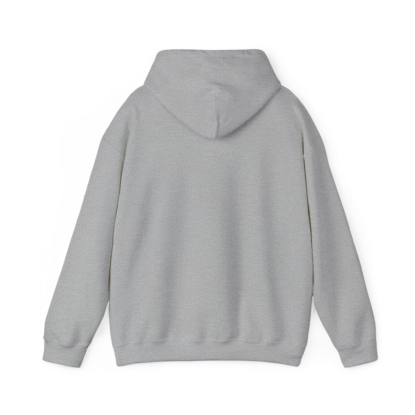 Winter Sucks Hoodie