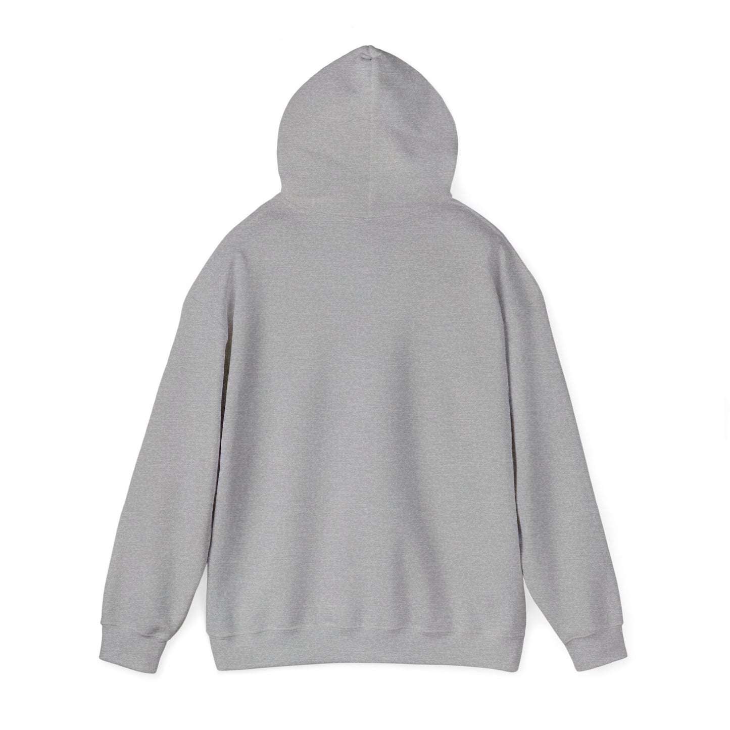 Winter Sucks Hoodie
