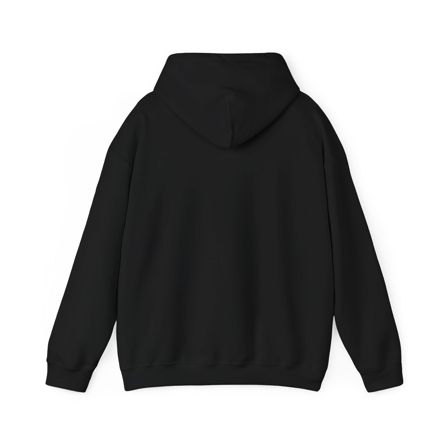 Winter Sucks Hoodie