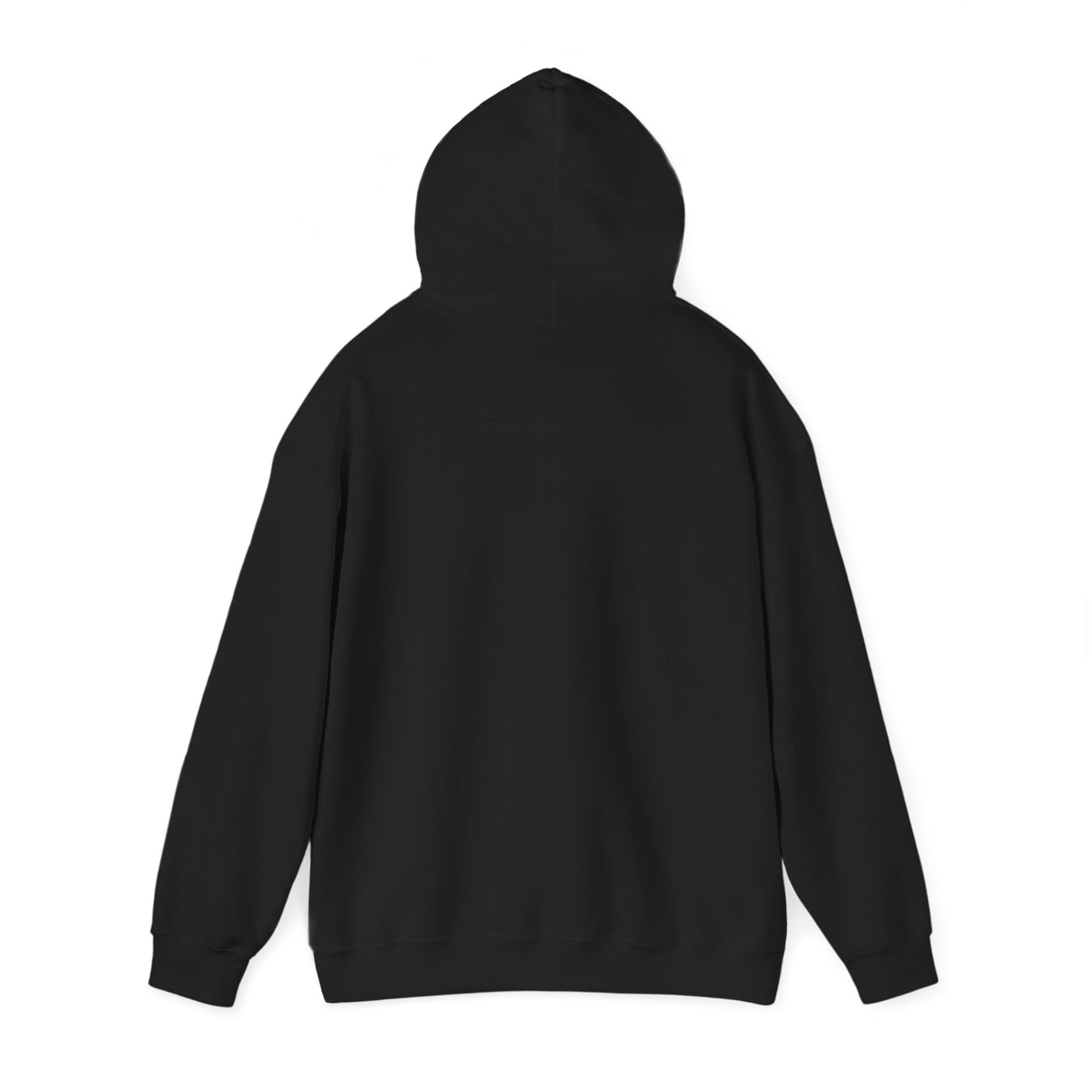 Winter Sucks Hoodie